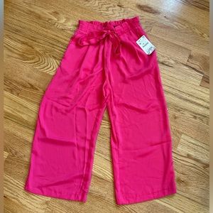 Zara NWT Hot Pink Tie Waist Gaucho Pant Size M